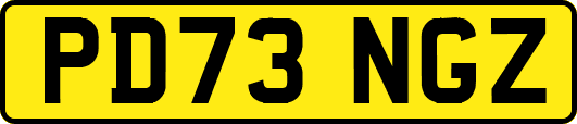 PD73NGZ