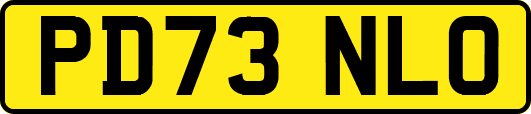PD73NLO
