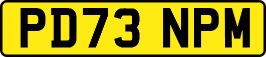 PD73NPM