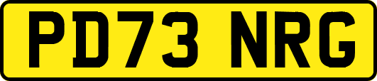 PD73NRG