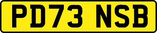 PD73NSB