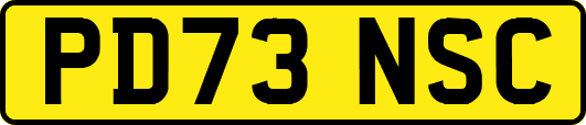 PD73NSC