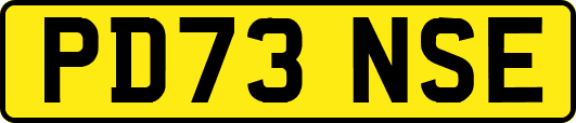 PD73NSE