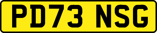 PD73NSG