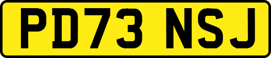 PD73NSJ