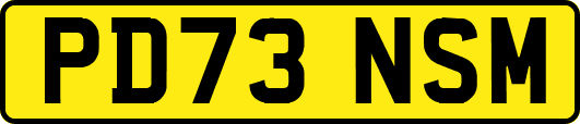 PD73NSM