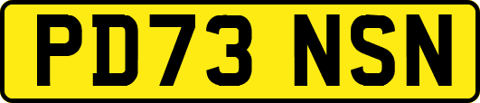 PD73NSN