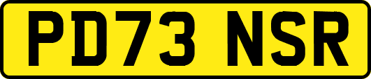 PD73NSR