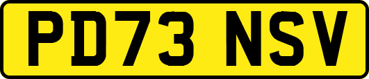 PD73NSV