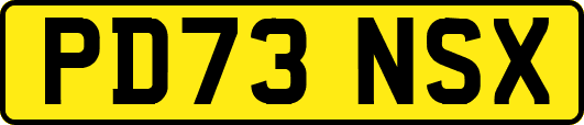 PD73NSX