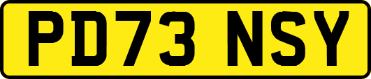 PD73NSY