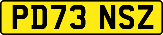 PD73NSZ