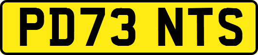 PD73NTS