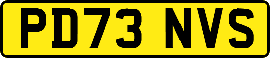 PD73NVS