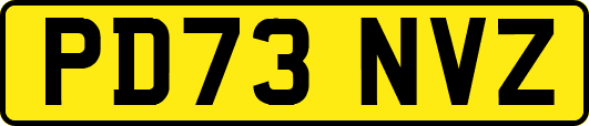 PD73NVZ