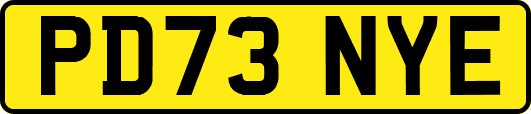 PD73NYE