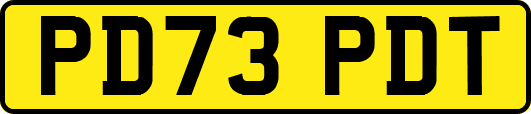 PD73PDT