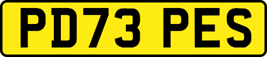 PD73PES