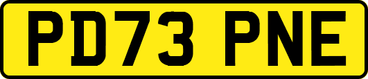 PD73PNE