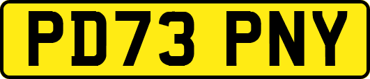 PD73PNY