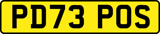 PD73POS