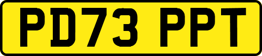PD73PPT