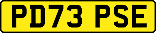 PD73PSE