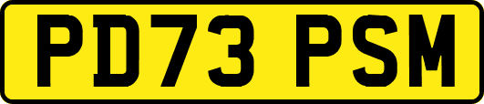 PD73PSM