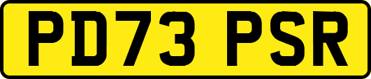 PD73PSR