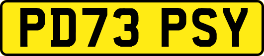 PD73PSY