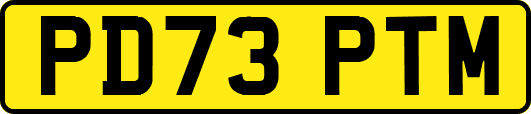PD73PTM