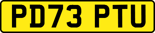 PD73PTU