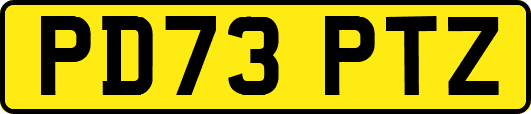 PD73PTZ