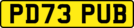 PD73PUB