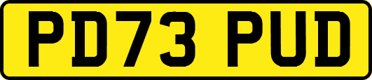 PD73PUD