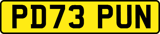 PD73PUN