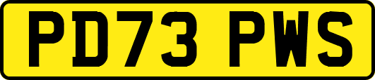 PD73PWS