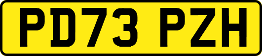 PD73PZH