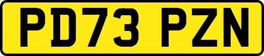 PD73PZN