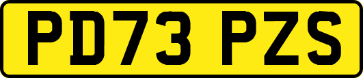 PD73PZS