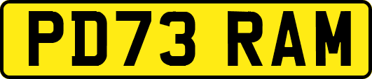 PD73RAM