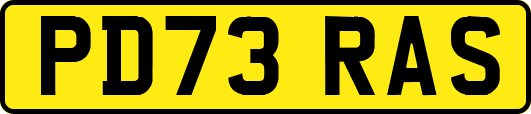PD73RAS