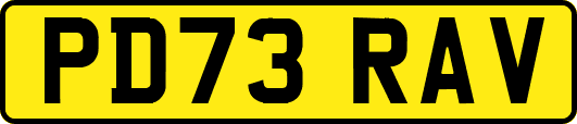 PD73RAV