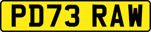 PD73RAW