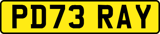 PD73RAY