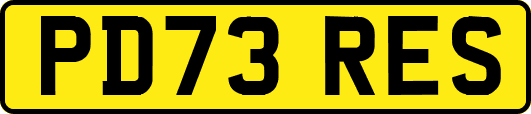 PD73RES