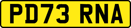 PD73RNA