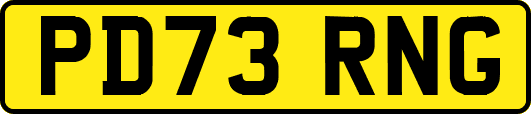 PD73RNG