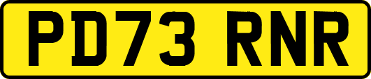 PD73RNR