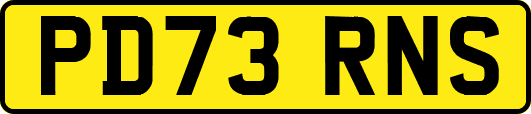PD73RNS